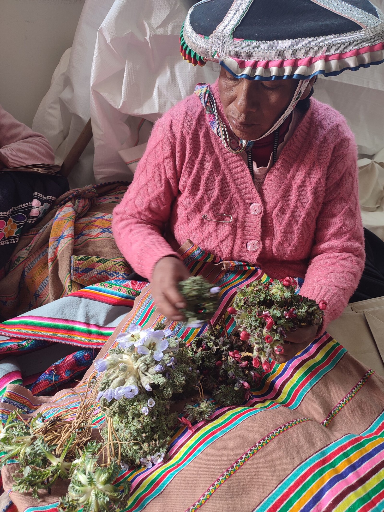 Preparación del terreno y siembra de plantones medicinales