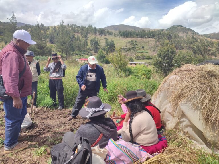 Huerto medicinal implementado por un Hampicamayoc en Pitumarca