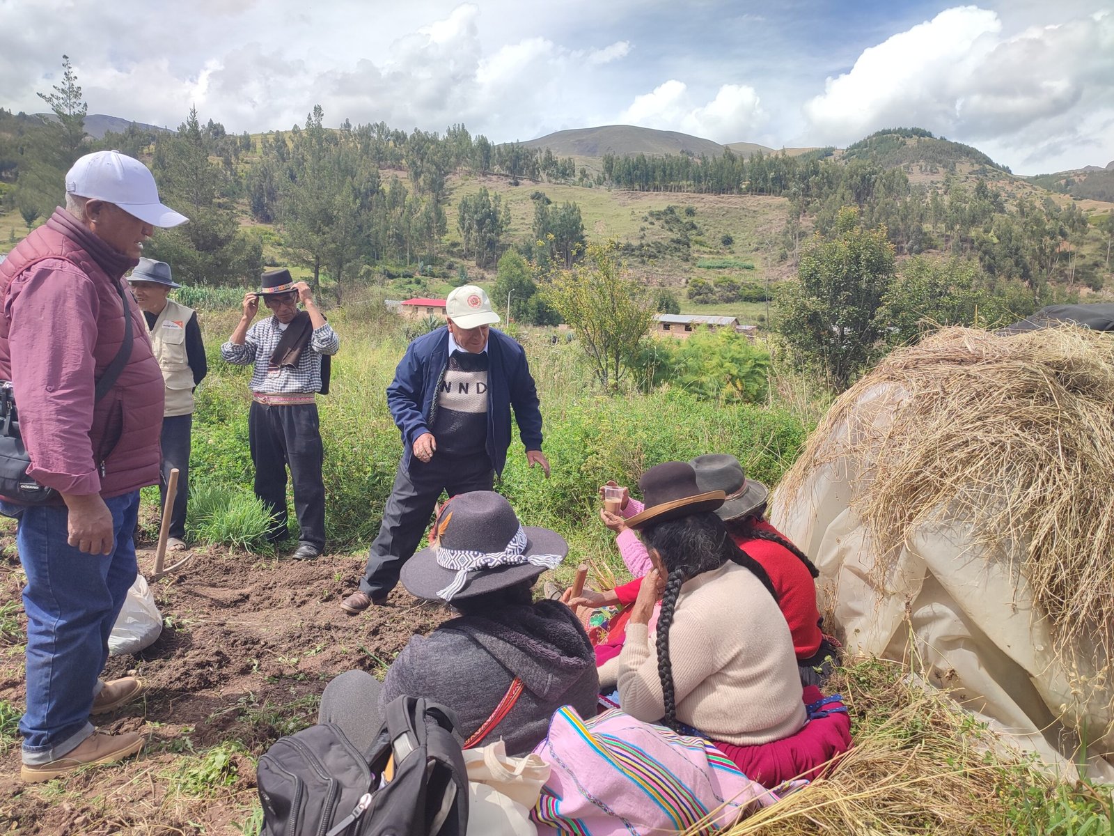 Huerto medicinal implementado por un Hampicamayoc en Pitumarca