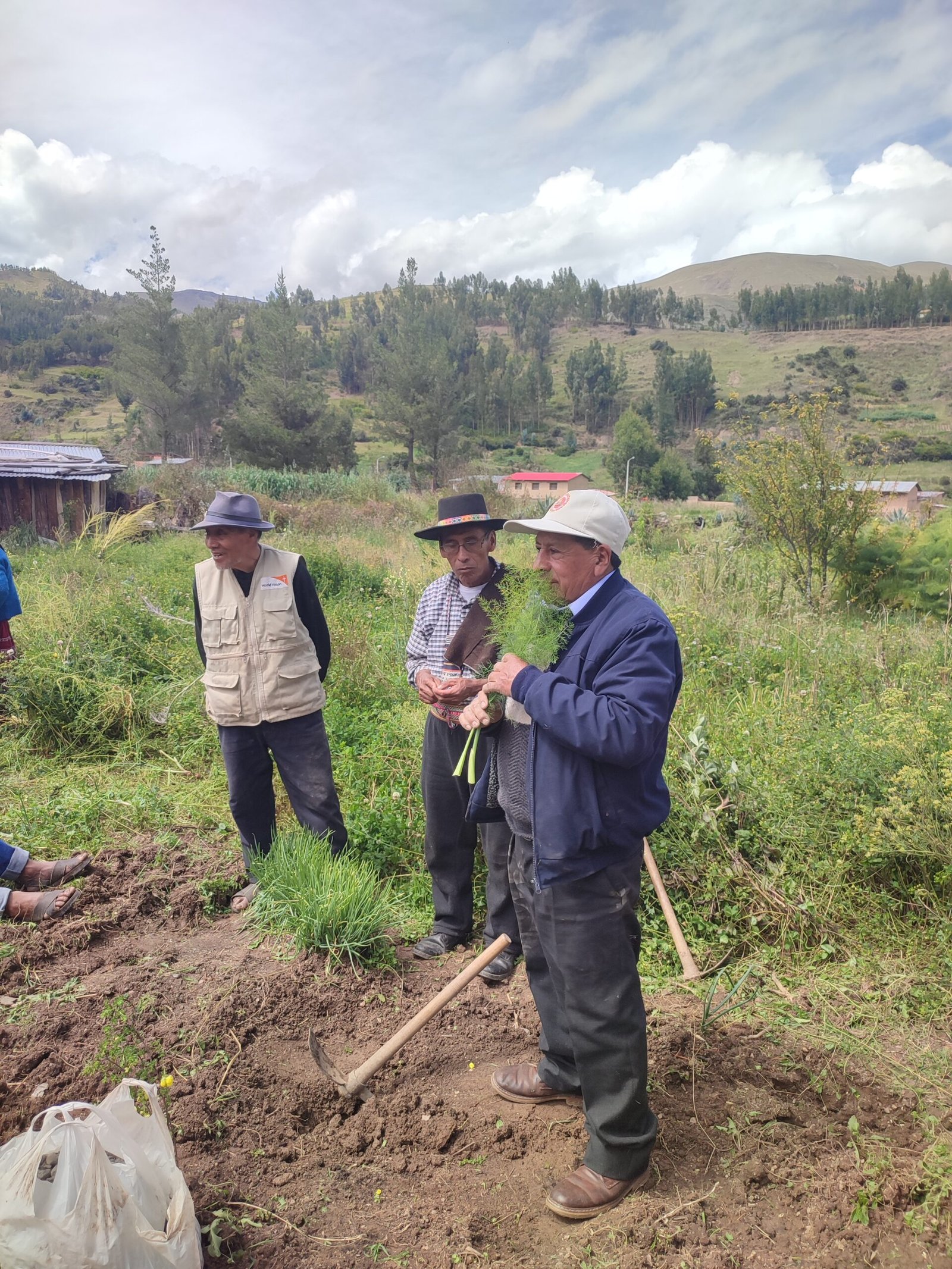 Recorrido entre plantas medicinales del sur andino