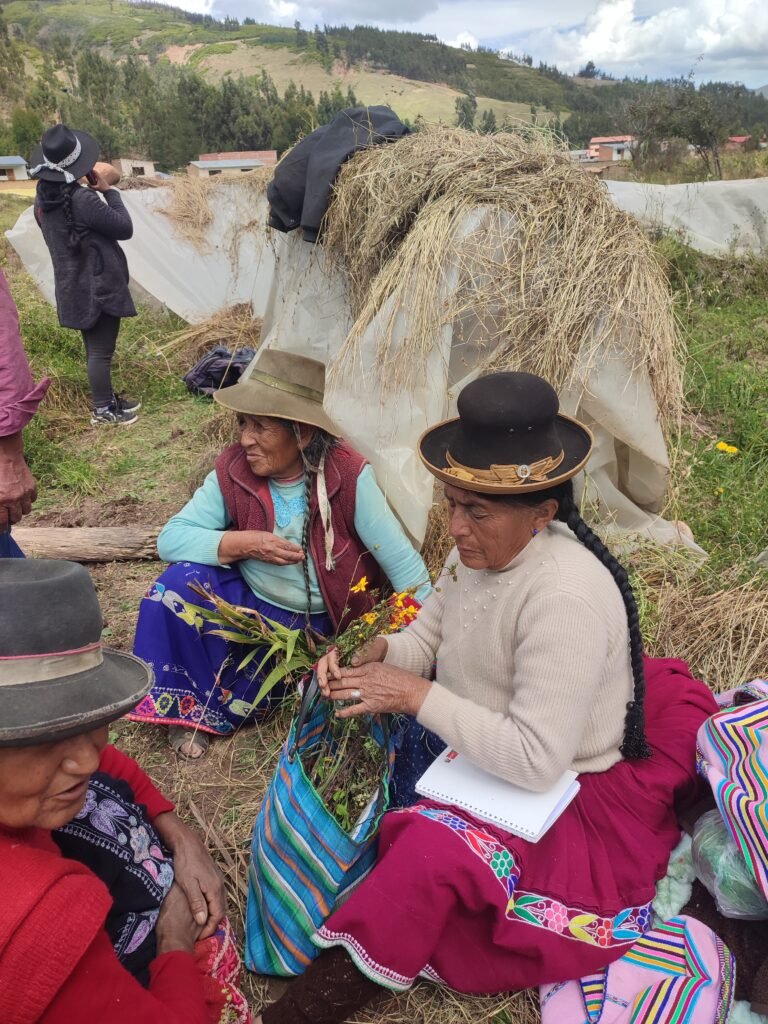 Huerto de plantas medicinales en Pitumarca