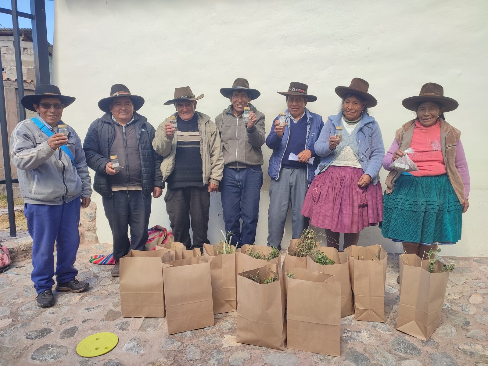 Clasificación de semillas recolectadas