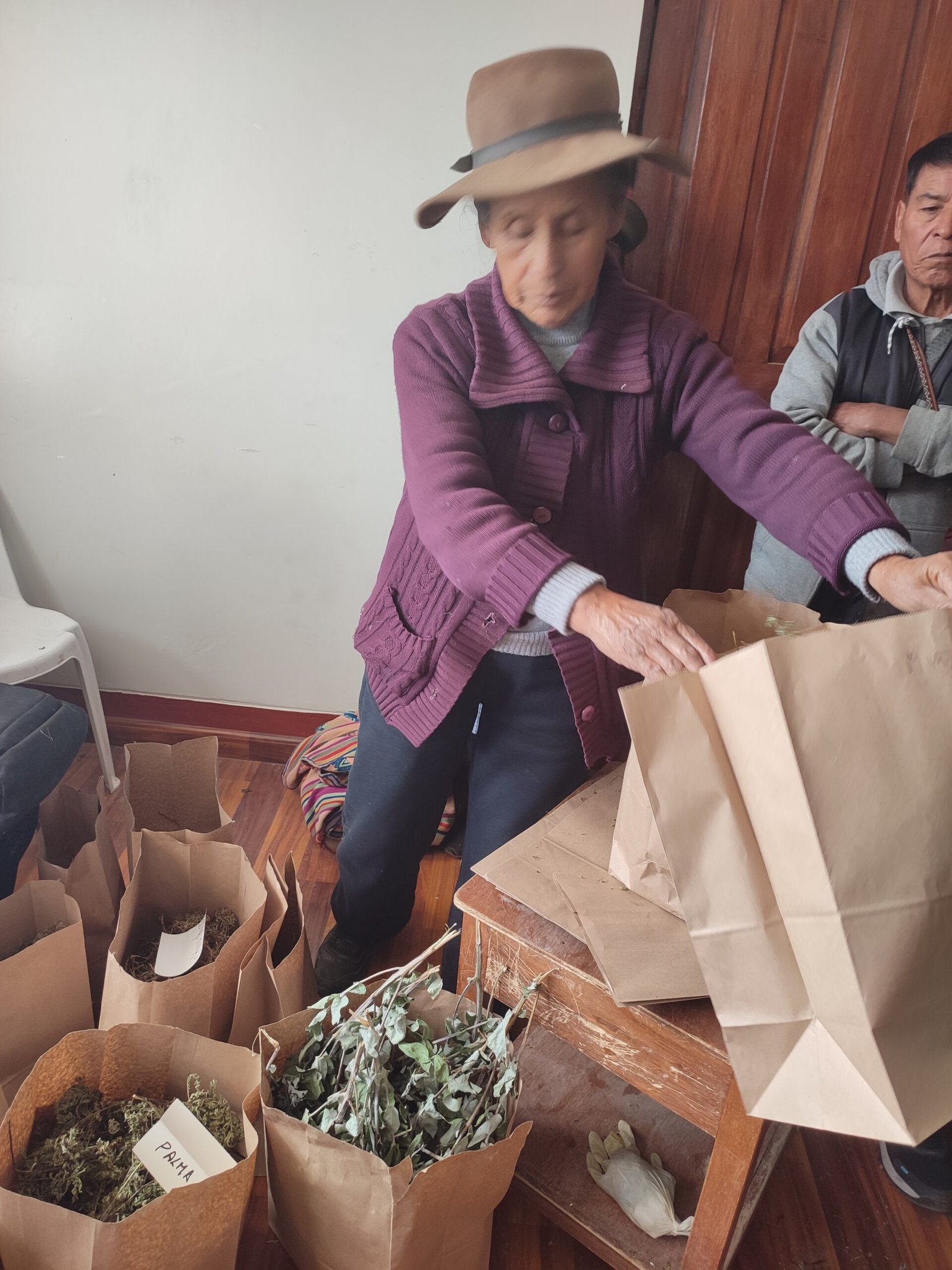 Empaquetado de plantas medicinales secas en bolsas de papel, siguiendo buenas prácticas