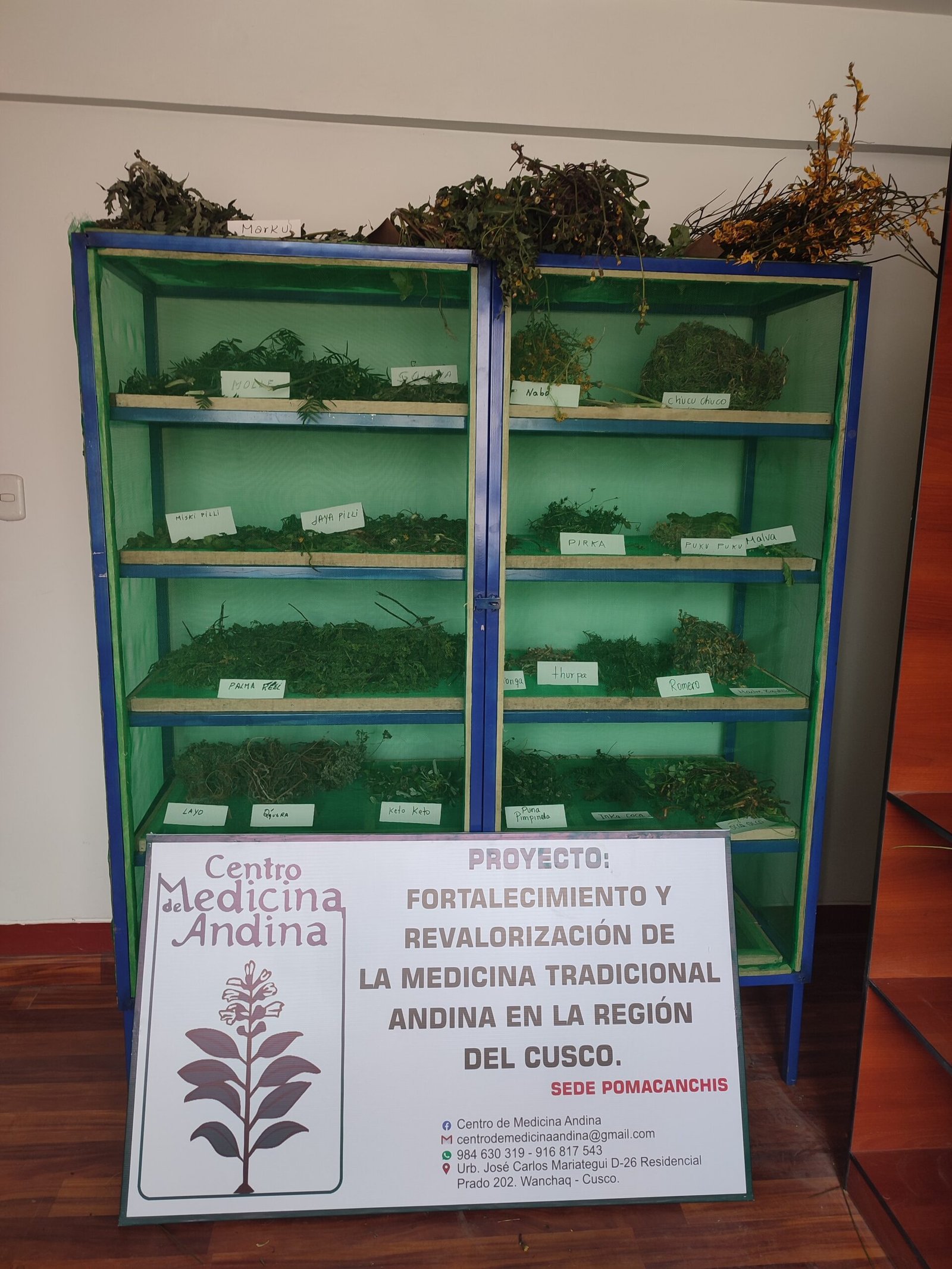 Consulta de láminas del herbario de plantas medicinales