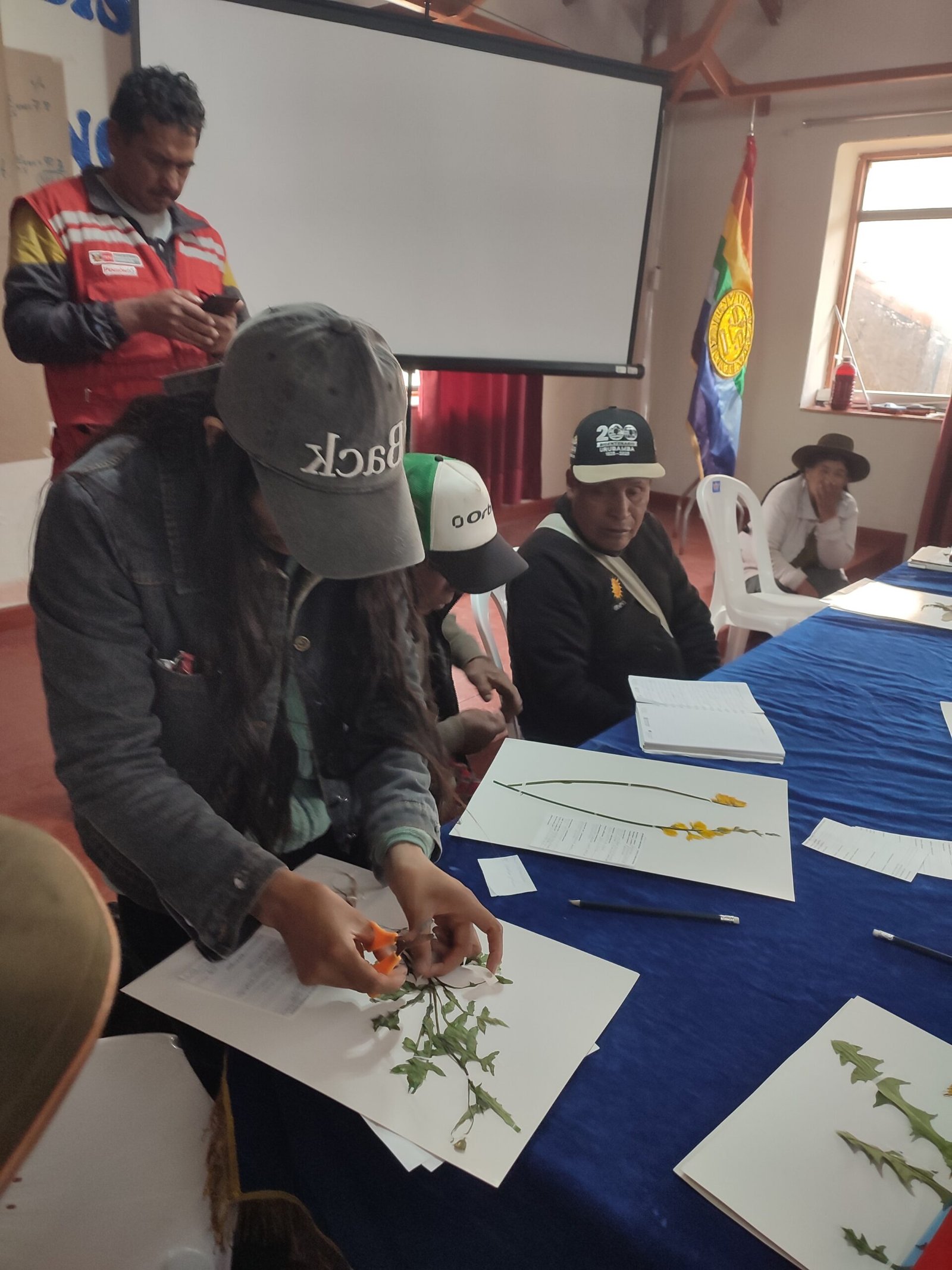 Clasificación de las láminas del herbario comunitario de Pomacanchi