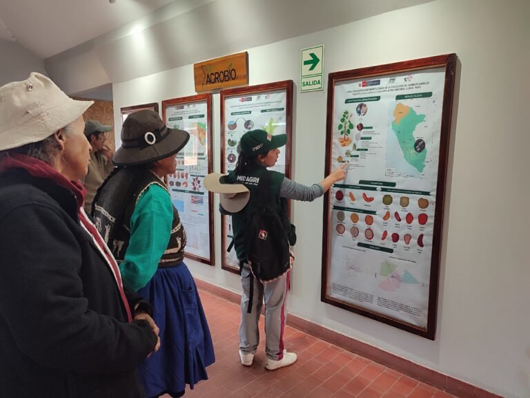 Visita de registro a Hampicamayoc en Pomacanchi