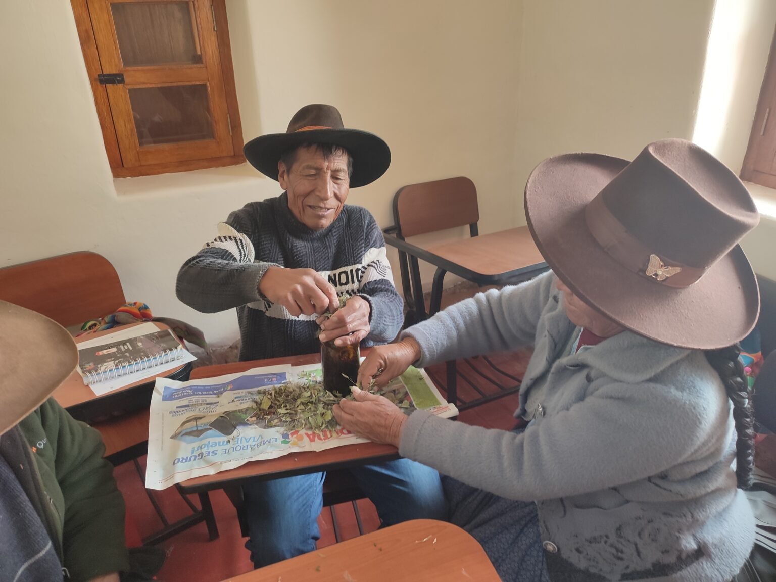 Dos Hampicamayoc preparando tintura con plantas recolectadas en Tungasuca