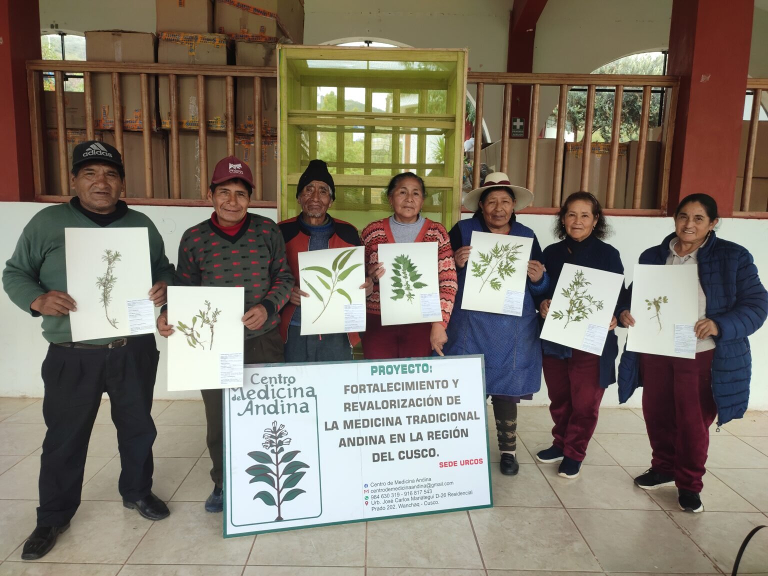 Montaje de láminas de herbario con plantas medicinales en Urcos