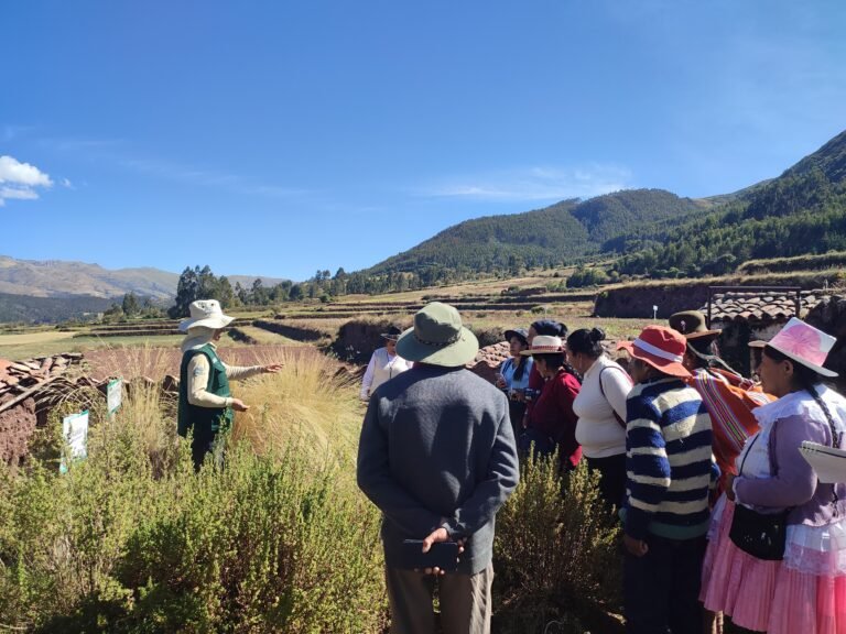 Pasantía de campo con Hampicamayoc en Urcos