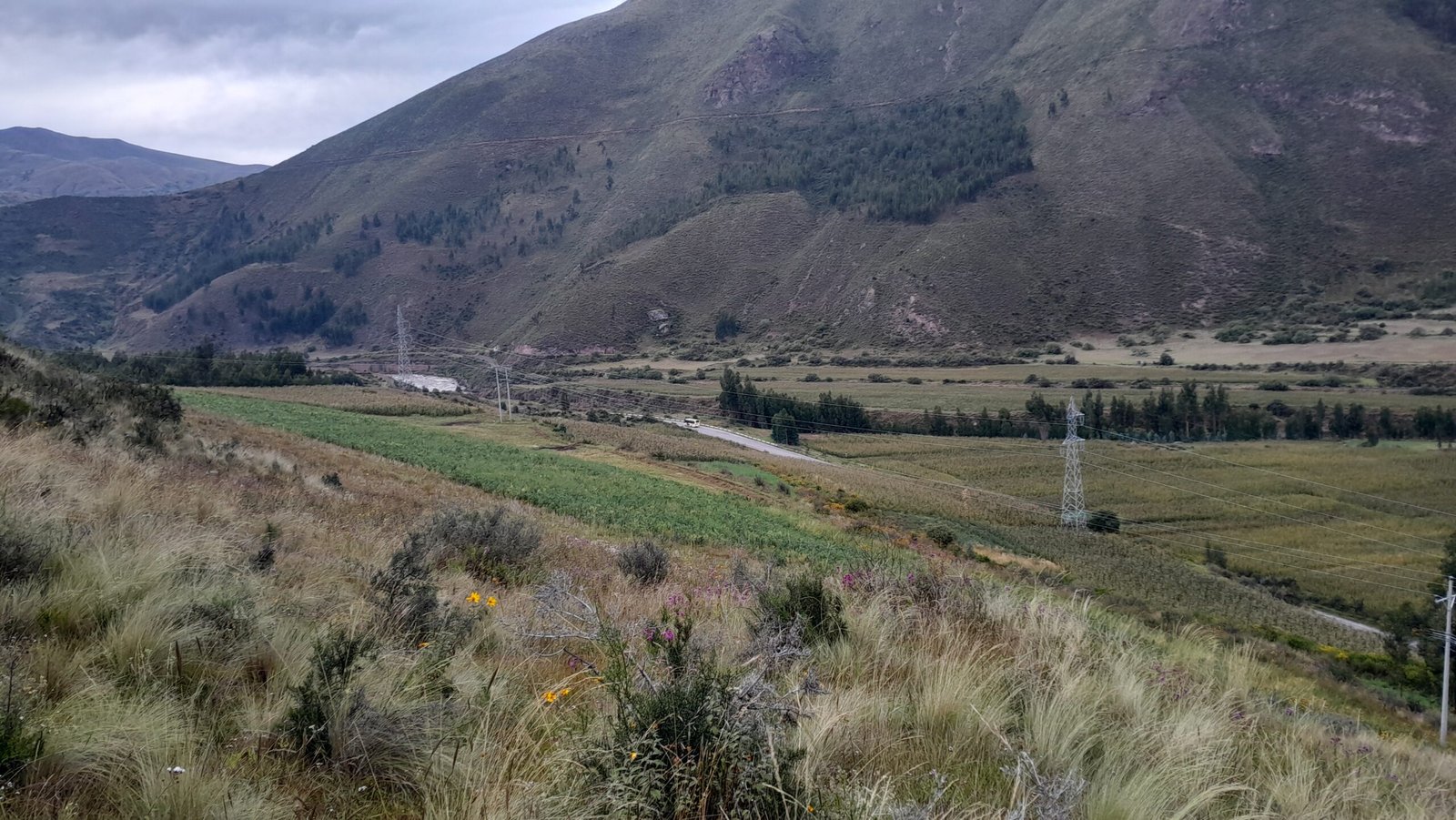 El terreno del Jardín Etnobotánico en Llocllora-Antacalli, en la ladera del valle de Checacupe