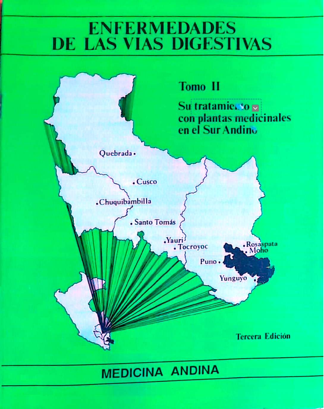 Portada de Enfermedades de las vías digestivas, tomo II