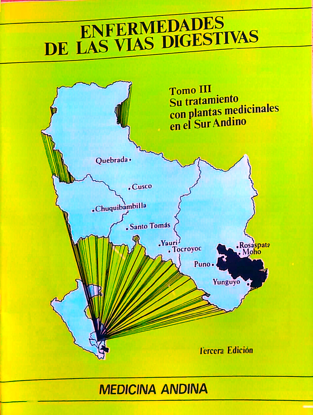 Portada de Enfermedades de las vías digestivas, tomo III